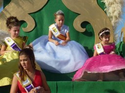 Fiestas 2010